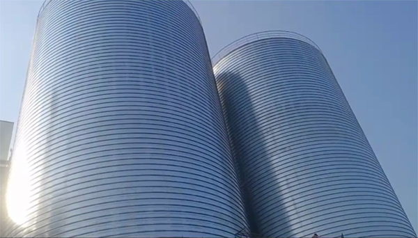 沧州2座混凝土高架卷板仓